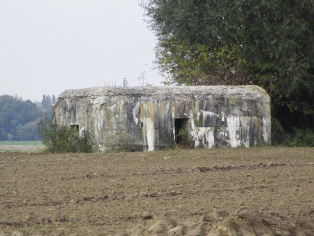 Ligne Maginot - BEF 497 - FLAGONIER OUEST - (Blockhaus pour arme infanterie) - Situé dans un champ cultivé, il est visible de la D 127 - Rue d'Orchies.