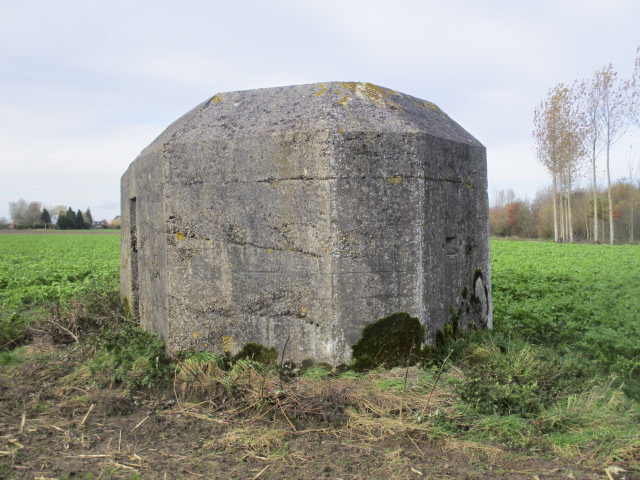 Ligne Maginot - BEF 677 - CENSE DE WABENPRE - (Blockhaus pour arme infanterie) - Blockhaus situé dans son environnement.