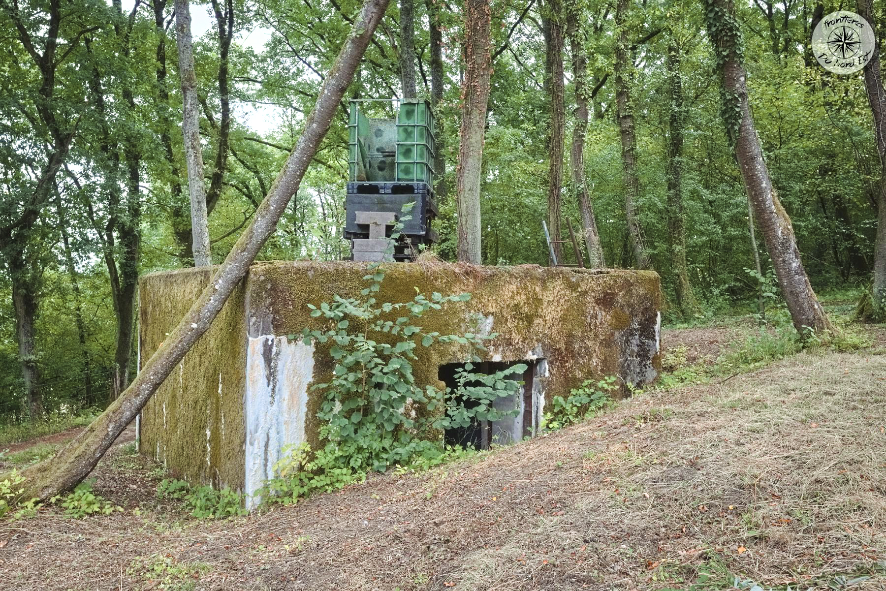 Ligne Maginot - CB274 - SAINTE MARIE 2 - (Blockhaus pour canon) - 
