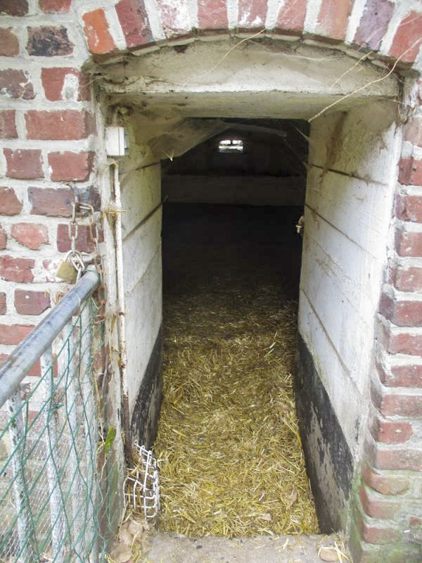 Ligne Maginot - BEF 692 - L'ESPIERRE Nord (Blockhaus pour arme infanterie) - Entrée du blockhaus.