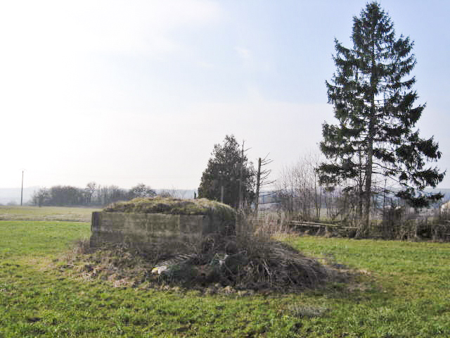 Ligne Maginot - AUF GEBELS 2 - (Blockhaus pour arme infanterie) - Vue générale