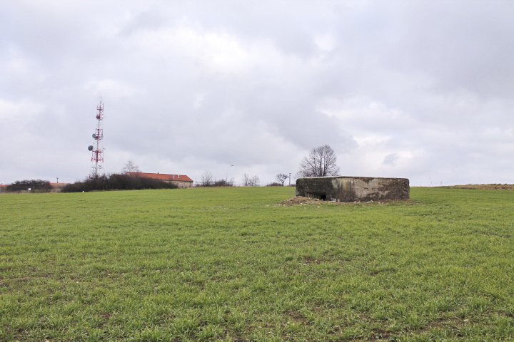 Ligne Maginot - BININGERWIESE 1 - (Blockhaus pour canon) - Vue générale
