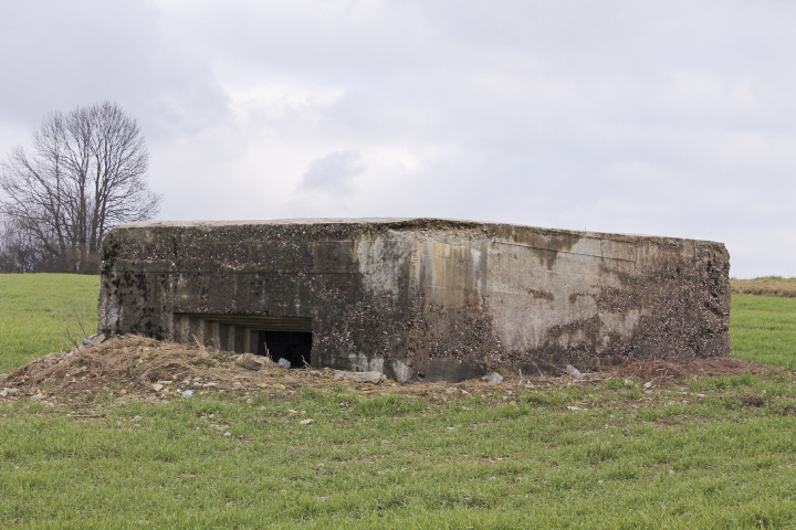 Ligne Maginot - BININGERWIESE 1 - (Blockhaus pour canon) - Façade de tir