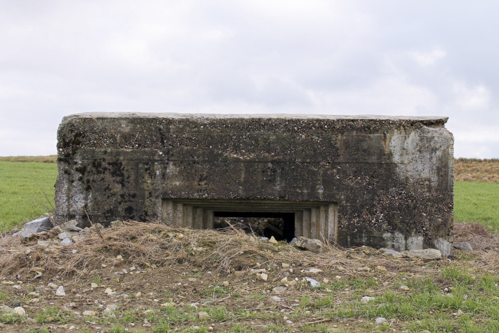 Ligne Maginot - BININGERWIESE 1 - (Blockhaus pour canon) - Créneau pour canon