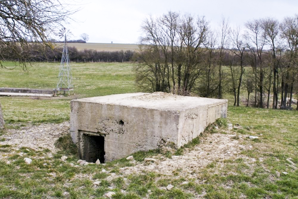 Ligne Maginot - DELLWIESE OUEST - (Blockhaus pour arme infanterie) - L'entrée