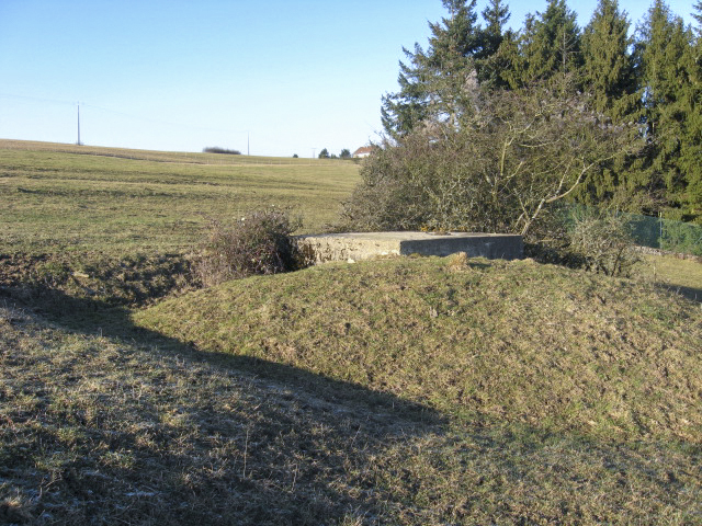 Ligne Maginot - DORFWIESE 4 (Blockhaus pour arme infanterie) - Vue générale