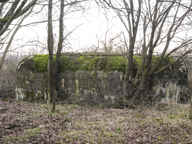 Ligne Maginot - HAMMELSWIESE 5 - (Casemate d'infanterie) - Vue générale