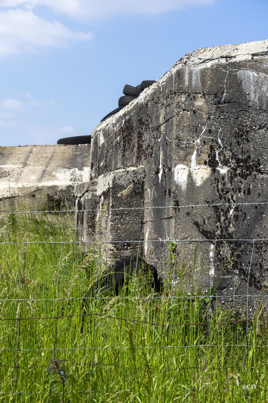Ligne Maginot - BEF 9 - CHATEAU DES BOIS SUD - (Abri) - Détail du mur