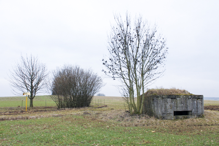 Ligne Maginot - HILLEN NORD - (Blockhaus pour canon) - Vue générale