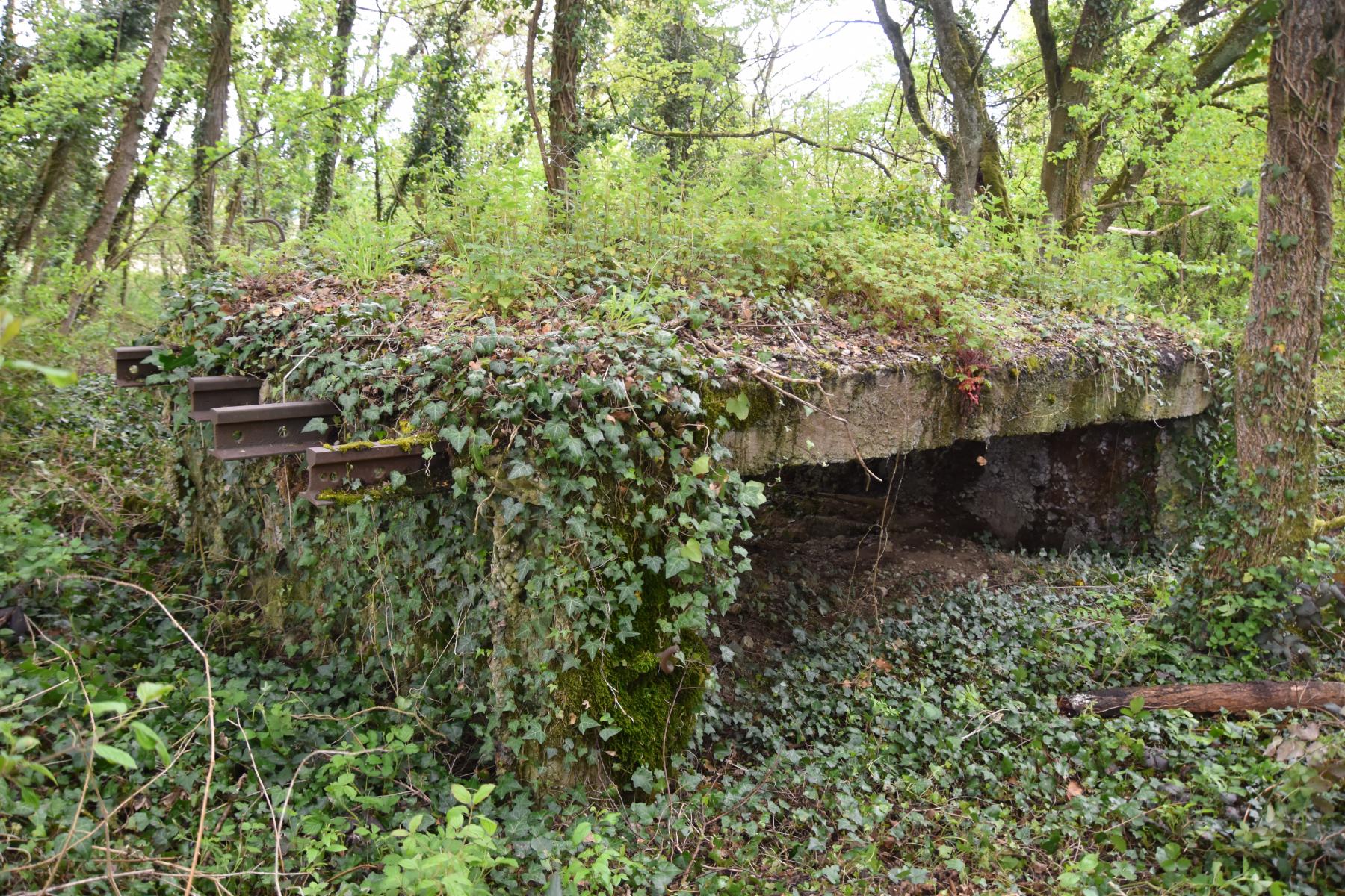 Ligne Maginot - PA DE HOMBOURG 4 - (Blockhaus pour canon) - Façade ouest avec l'entrée