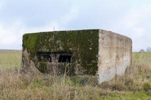 Ligne Maginot - HUNSTWIESE 2 - (Blockhaus pour arme infanterie) - Créneau mitrailleuse