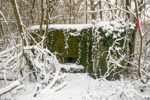 Ligne Maginot - CB318 - GINSKLOPP EST - (Blockhaus pour arme infanterie) - Vue frontale du blockhaus en hiver