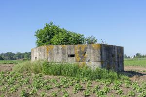 Ligne Maginot - BEF 272 - DRONKAERT NORD 1 - (Blockhaus pour arme infanterie) - Les trois créneaux