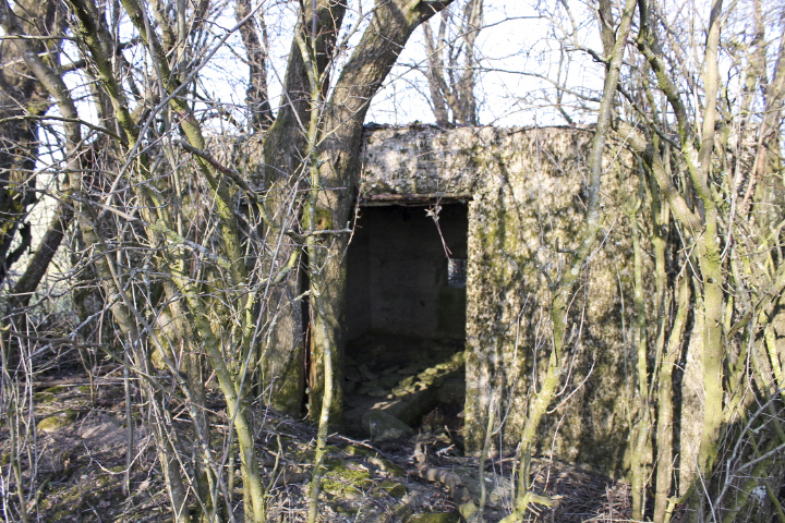 Ligne Maginot - HUNSTWIESE - (Blockhaus pour canon) - L'entrée du canon