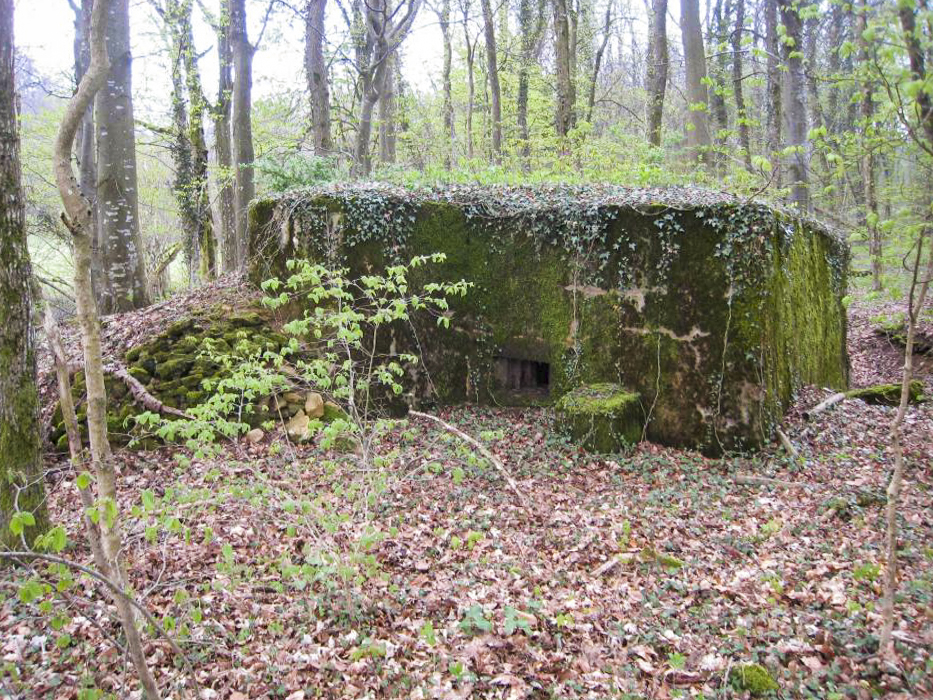 Ligne Maginot - CB331 - GINSKLOPP OUEST - (Blockhaus pour arme infanterie) - 