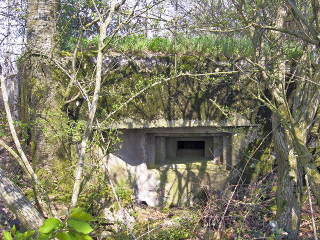 Ligne Maginot - SAUMUEHLE OUEST - (Blockhaus pour arme infanterie) - Créneau pour mitrailleuse