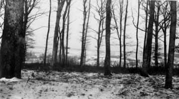 Ligne Maginot - BOUSSE - A24 - (Ouvrage d'infanterie) - Les dessus de l'ouvrage
Vue sur Edling et les avancées par -35 (hiver 1940)