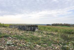 Ligne Maginot - SCHITTEFELD 5 - (Blockhaus pour canon) - Vue générale