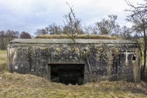 Ligne Maginot - VALLEE D'ALTKIRCHE - (Blockhaus pour canon) - 