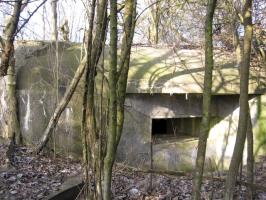 Ligne Maginot - HAMMELSWIESE 9 - (Blockhaus pour canon) - Façade de tir du canon