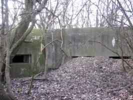 Ligne Maginot - HAMMELSWIESE 9 - (Blockhaus pour canon) - Le créneau mitrailleuse et les faux créneaux du mur d'aile