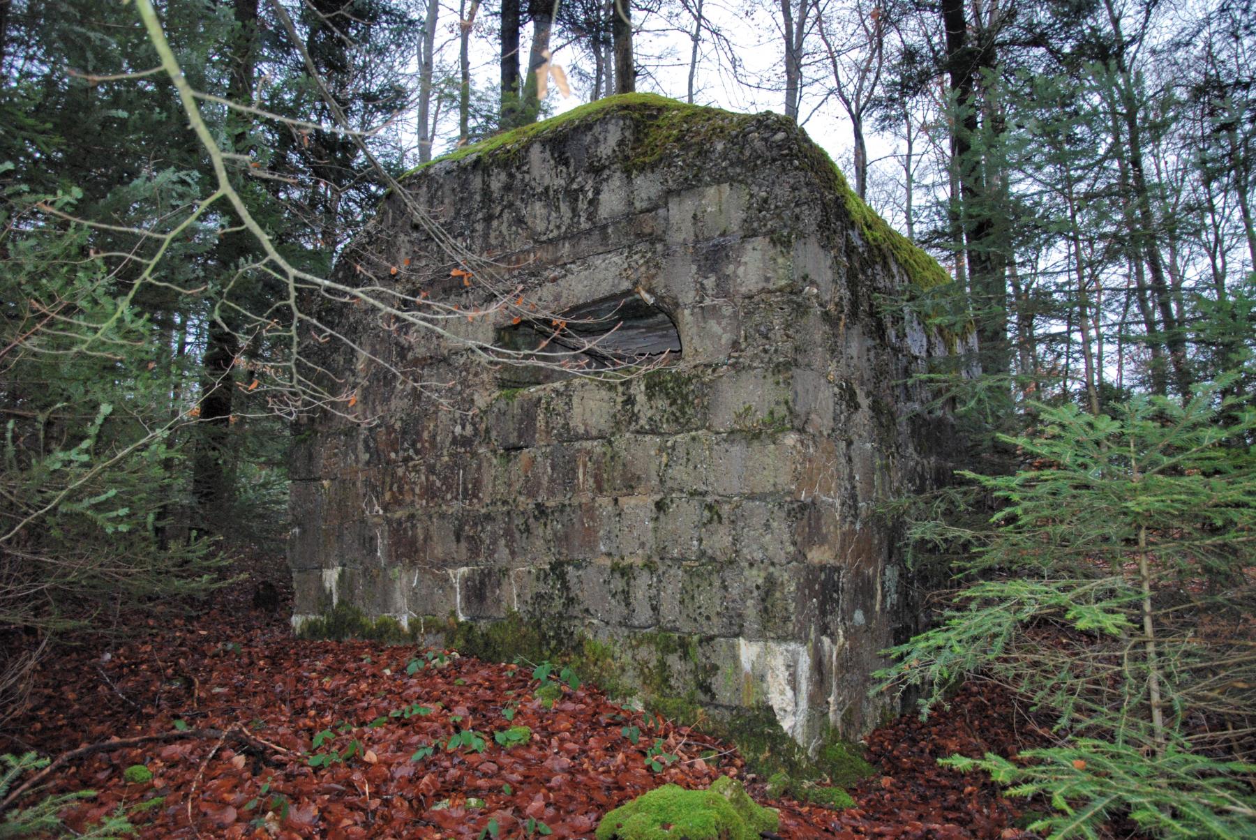 Ligne Maginot - KASTELBERG - (Observatoire d'infanterie) - 