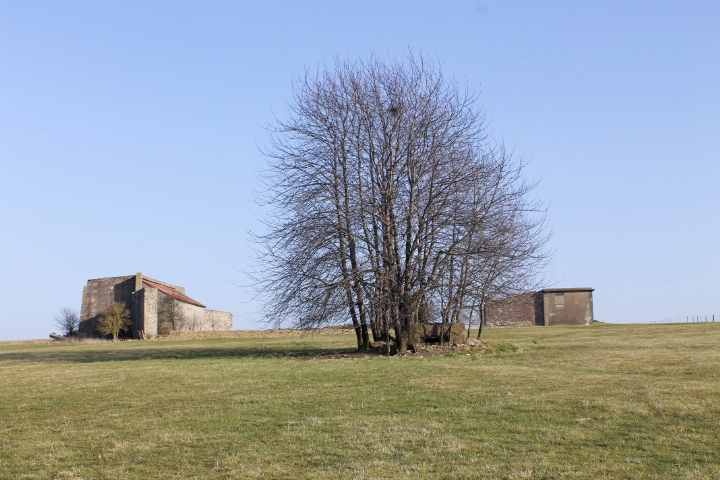 Ligne Maginot - STAND de TIR Ouest (Blockhaus pour arme infanterie) - Vue générale