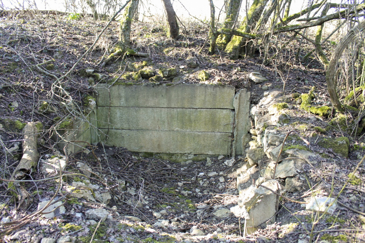 Ligne Maginot - STEINER DEL 1 - (Blockhaus pour arme infanterie) - Les restes du blockhaus