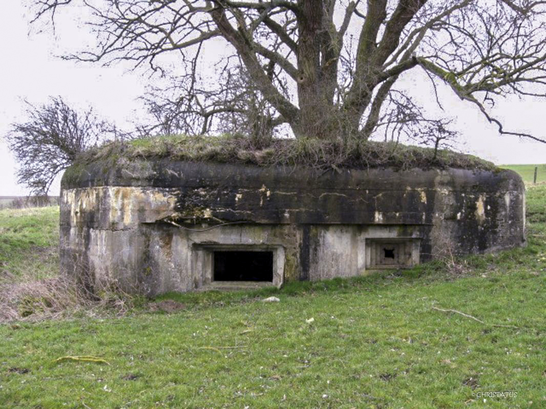 Ligne Maginot - WOLFSREDGEN OUEST - (Blockhaus pour canon) - 