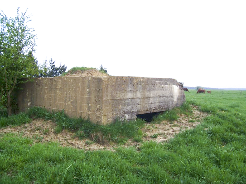 Ligne Maginot - DIEBELSWIESE - (Blockhaus pour arme infanterie) - 