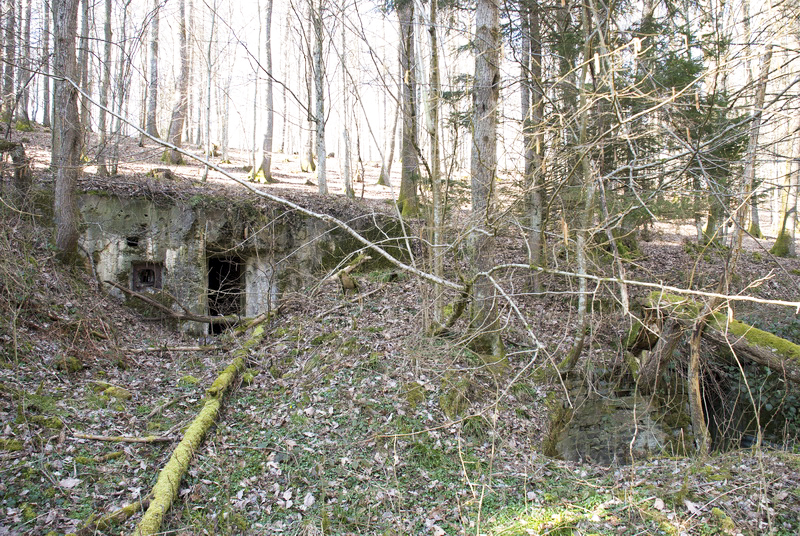 Ligne Maginot - FERME DE HEILIGENBRONN - (153° RIF - 150° RAP) - (PC de Sous-Secteur) - PC et l'abri n°1