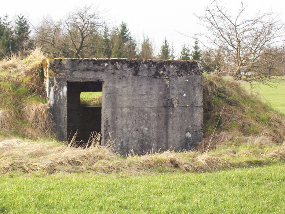 Ligne Maginot - GALGENBERG 1 - (Blockhaus pour arme infanterie) - 