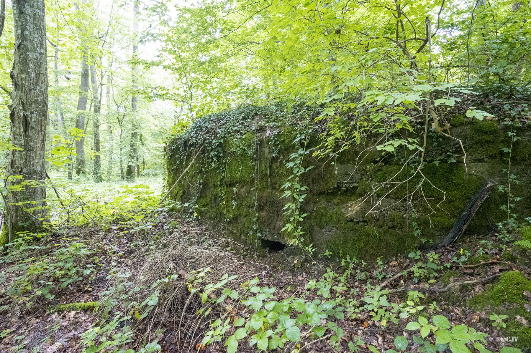 Ligne Maginot - NEUEALLMENDWALD - (Blockhaus pour arme infanterie) - Un des créneaux