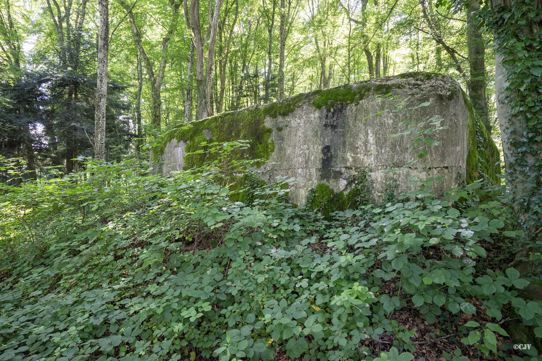 Ligne Maginot - FRIESEN - (Blockhaus pour arme infanterie) - Le créneau est caché
