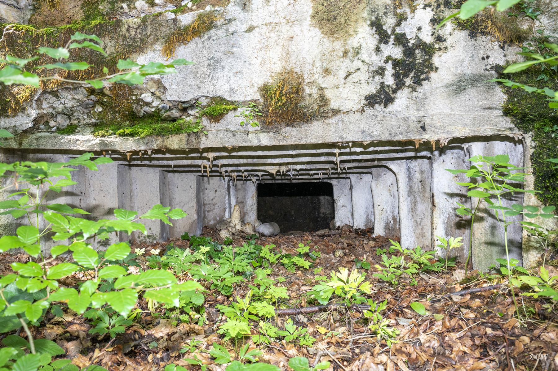 Ligne Maginot - FRIESEN - (Blockhaus pour arme infanterie) - Le créneau