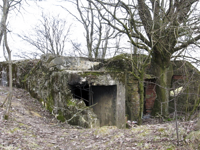 Ligne Maginot - HAMMELSWIESE 6 - (Blockhaus pour arme infanterie) - Façade arrière