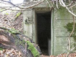 Ligne Maginot - RUISSEAU DU GROSSTHAL 1 - (Blockhaus pour arme infanterie) - L'entrée