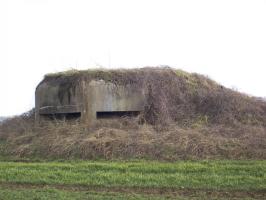 Ligne Maginot - SEELBERG (ROUTE DU ) - (Observatoire d'artillerie) - 