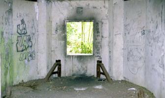 Ligne Maginot - A20 - FORT DE MAULDE EST - (Casemate d'artillerie) - 