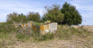 Ligne Maginot - A63BIS - VILLERS POL NORD - (Blockhaus pour canon) - 