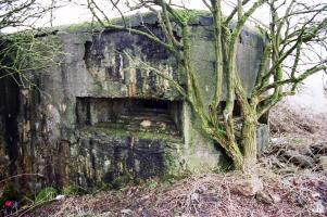 Ligne Maginot - A69 - PAVOT - (Blockhaus pour canon) - 