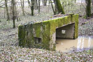 Ligne Maginot - CBO2 - (Blockhaus pour canon) - 