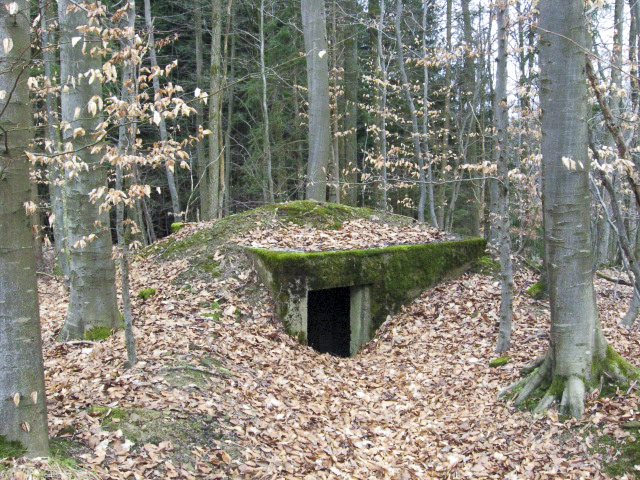 Ligne Maginot - HOLZSCHLAG 1 - (Blockhaus pour arme infanterie) - L'accès au blockhaus