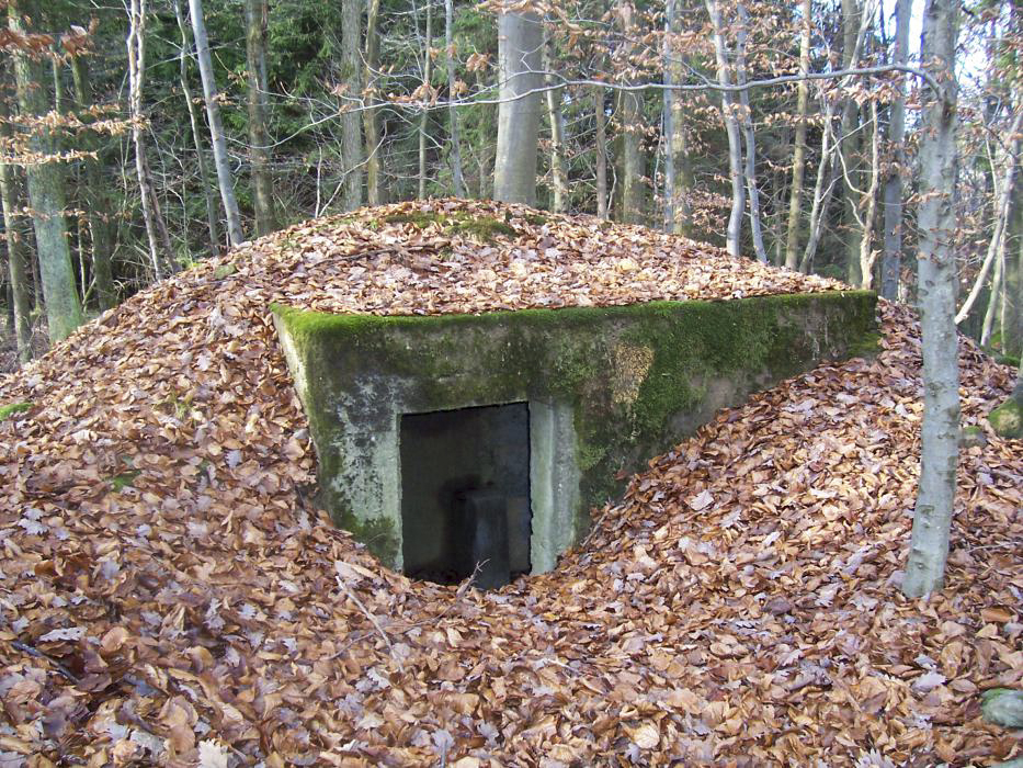 Ligne Maginot - HOLZSCHLAG 1 - (Blockhaus pour arme infanterie) - 
