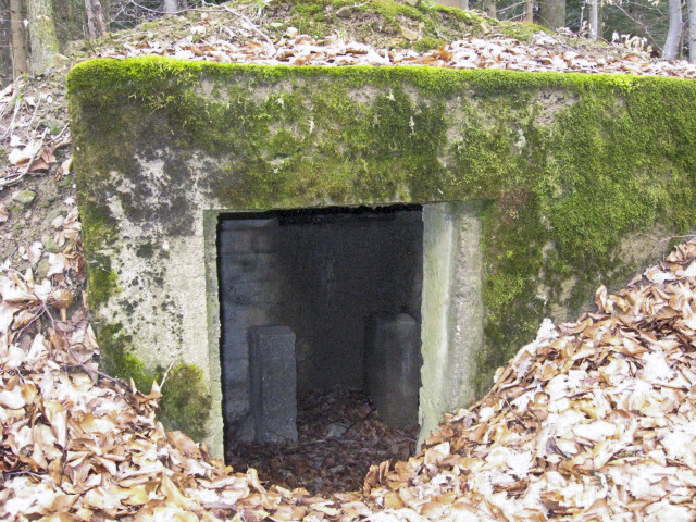 Ligne Maginot - HOLZSCHLAG 1 - (Blockhaus pour arme infanterie) - L'entrée