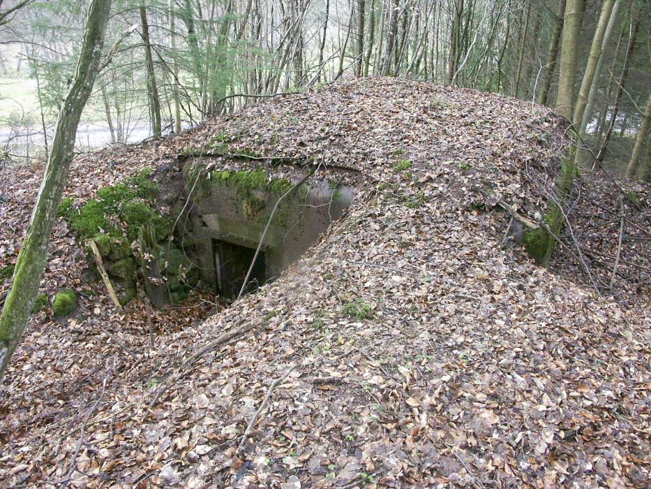 Ligne Maginot - KAPELLENHOFF 1 (AVANT POSTE) - (Blockhaus pour arme infanterie) - Vue d'ensemble du blockhaus