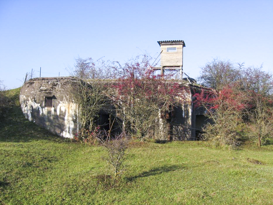 Ligne Maginot - SINNERSBERG EST - (Casemate d'infanterie) - Vue générale