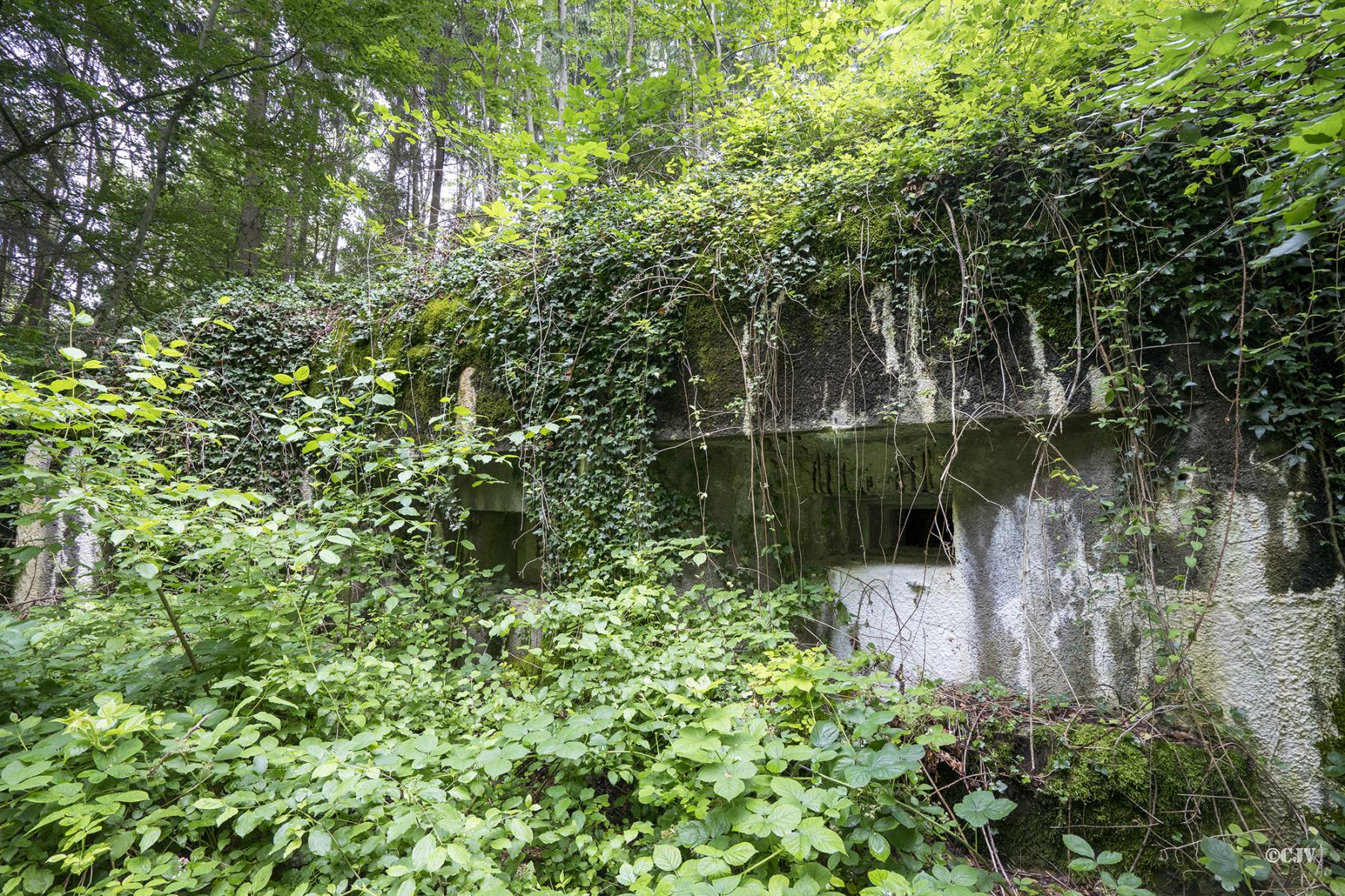 Ligne Maginot - 100 - WILLERBACH - (Casemate d'infanterie) - Les créneaux