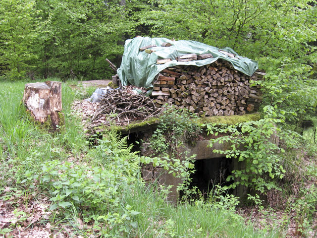 Ligne Maginot - HASPELSCHIEDT 2 (AVANT POSTE) - (Blockhaus pour canon) - Vue générale