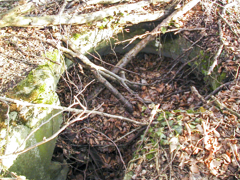 Ligne Maginot - CESARHOF 3 - (Cuve pour arme d'infanterie) - La photo est prise depuis le toit de la galerie souterraine, ce petit abri à deux entrées a ses entrées obstrués partiellement par des branches d'arbres mais reste accessible avec un peu de nettoyage.